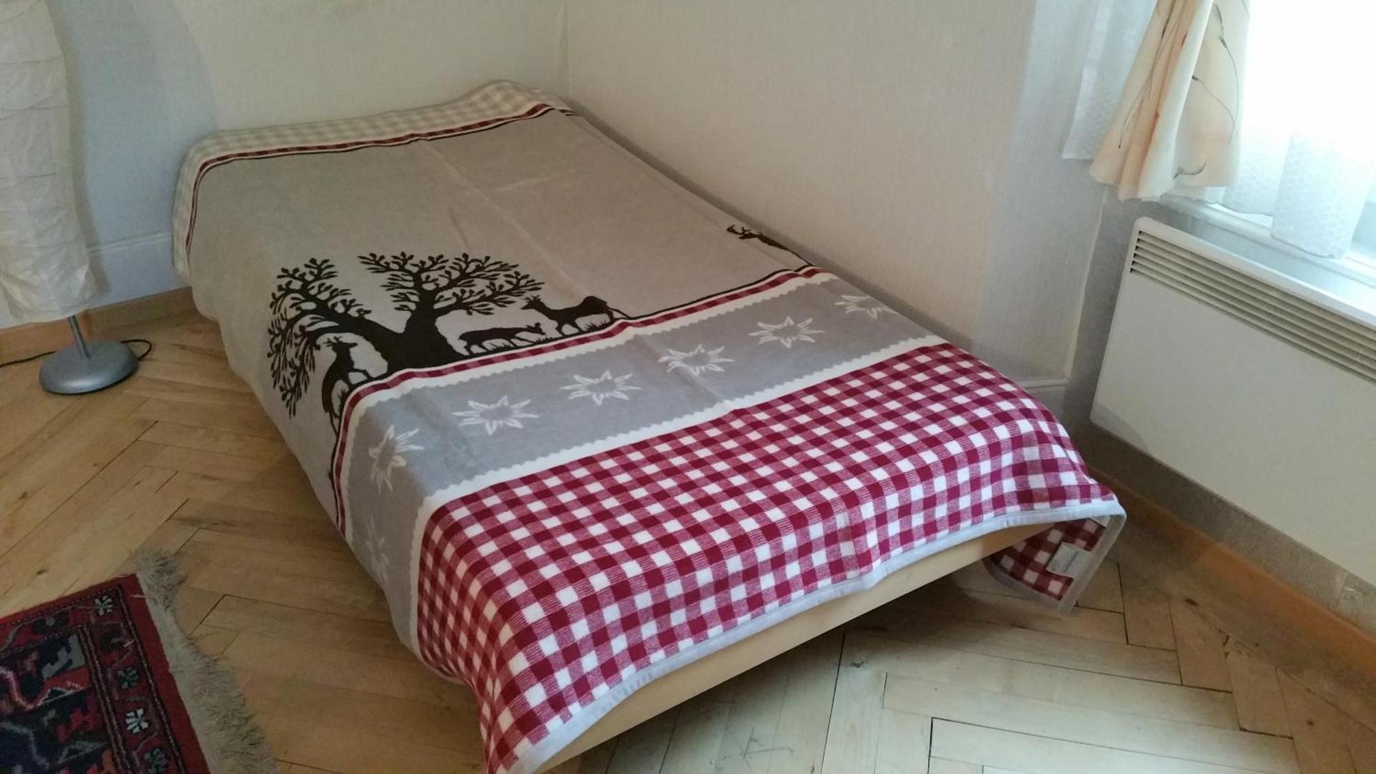 Ferienwohnung Haus Ryter Goschenen Phòng bức ảnh